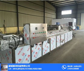 雞爪生產(chǎn)線哪家好 東莞雞爪生產(chǎn)線 諸城順澤機(jī)械